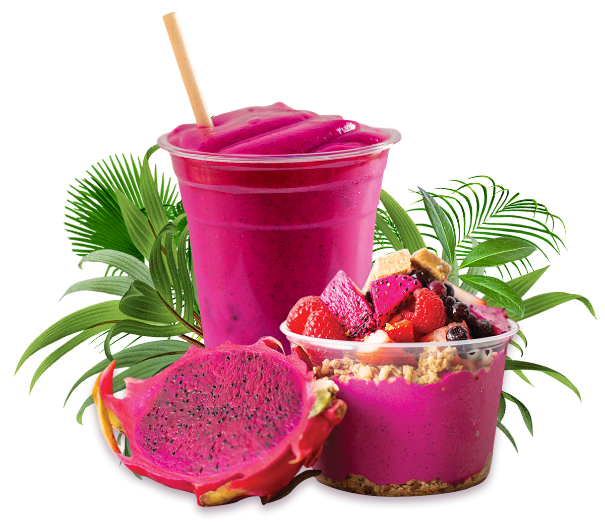 アリシアスタン 2024 Madeline Pitaya Matato - Pitaya Foods Case Study